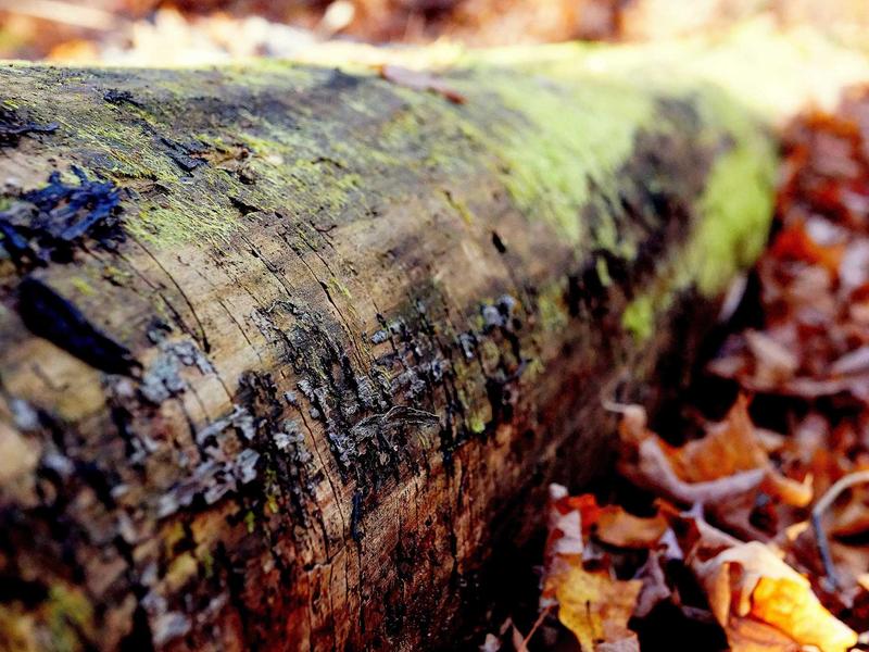 sudoku number placement screenshot 6